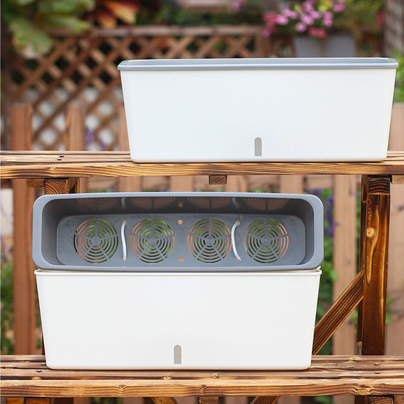 Self-Watering Planter Pots wit - Aloe Vera Pot review and price