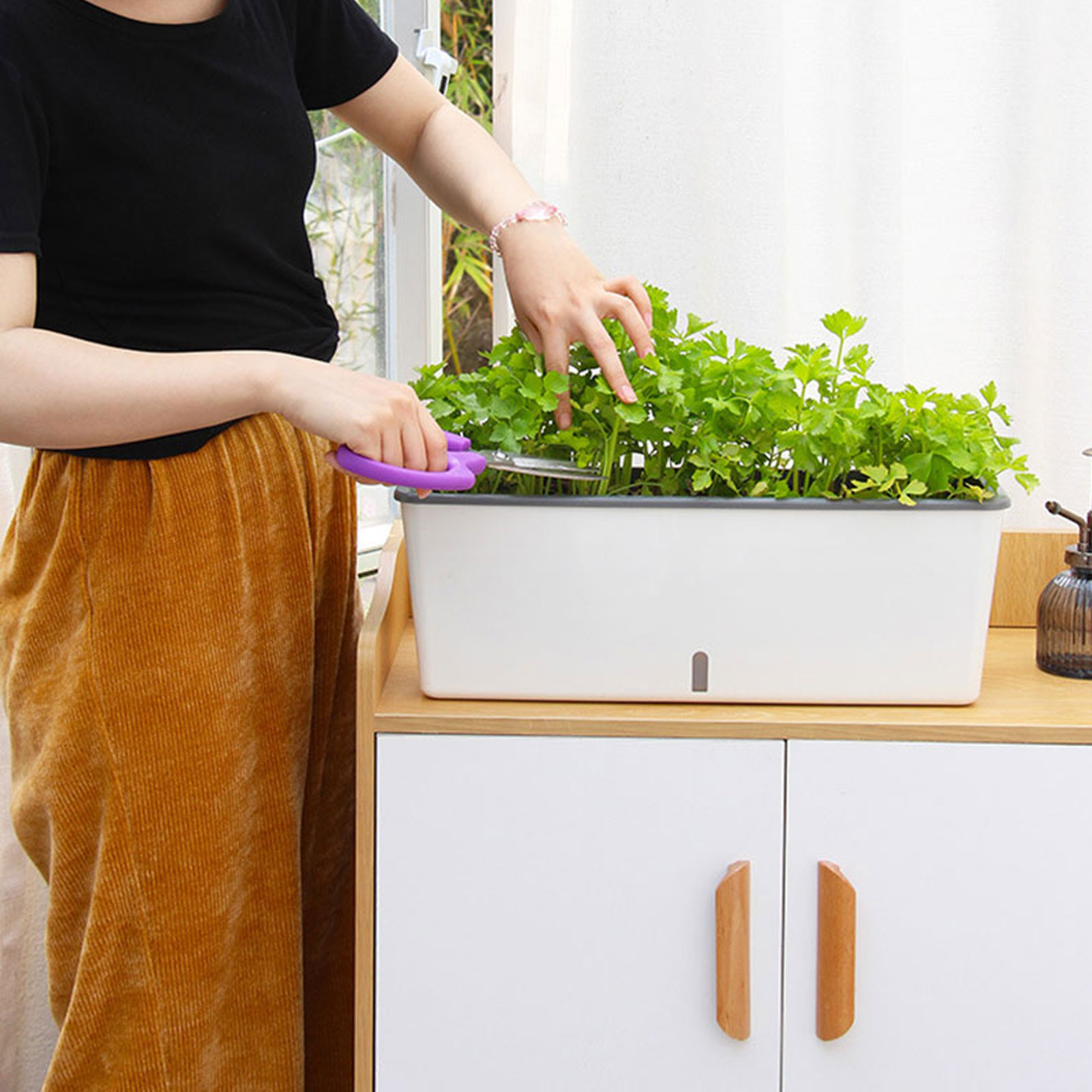 Self-Watering Planter Pots wit - Aloe Vera Pot review and price