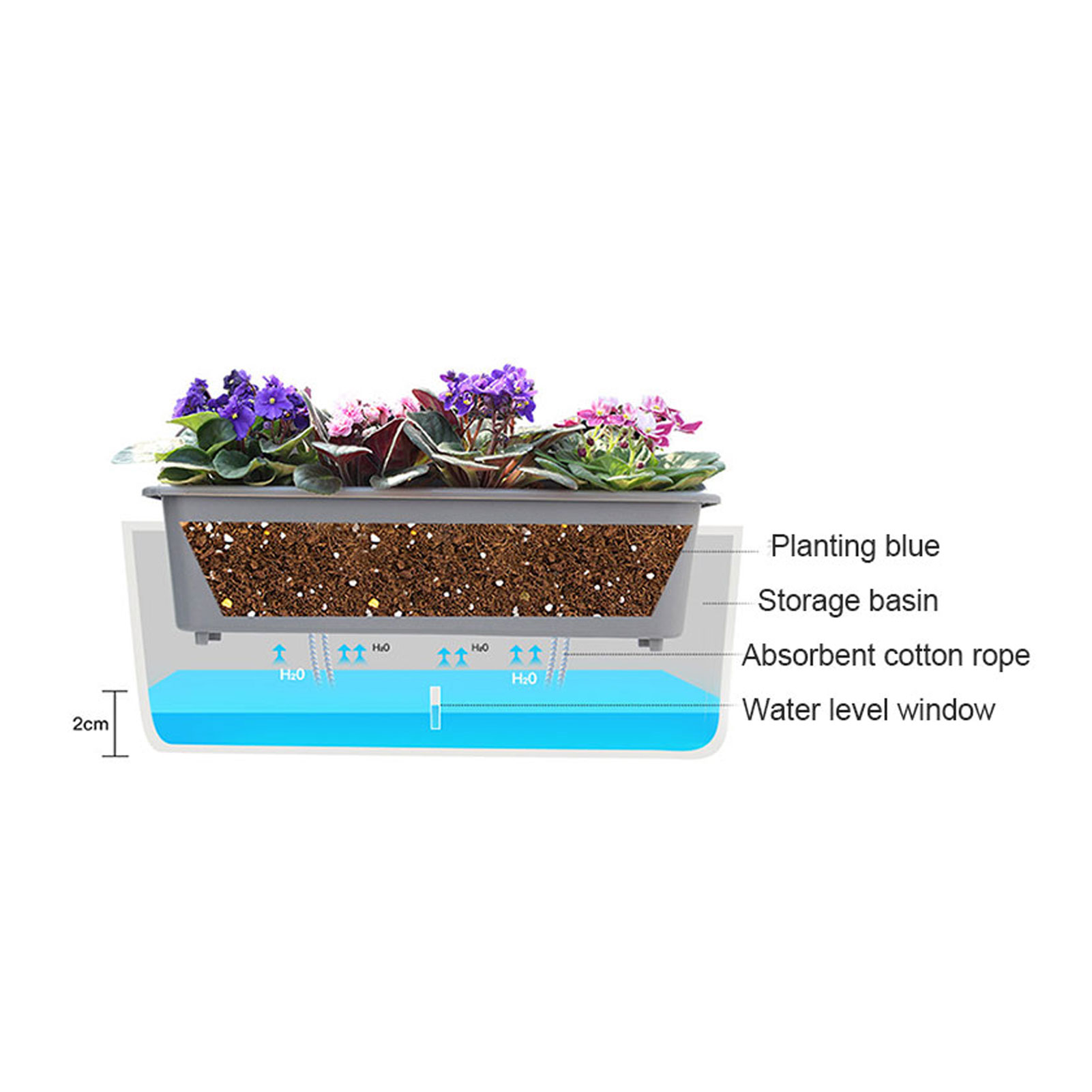Self-Watering Planter Pots wit - Aloe Vera Pot review and price