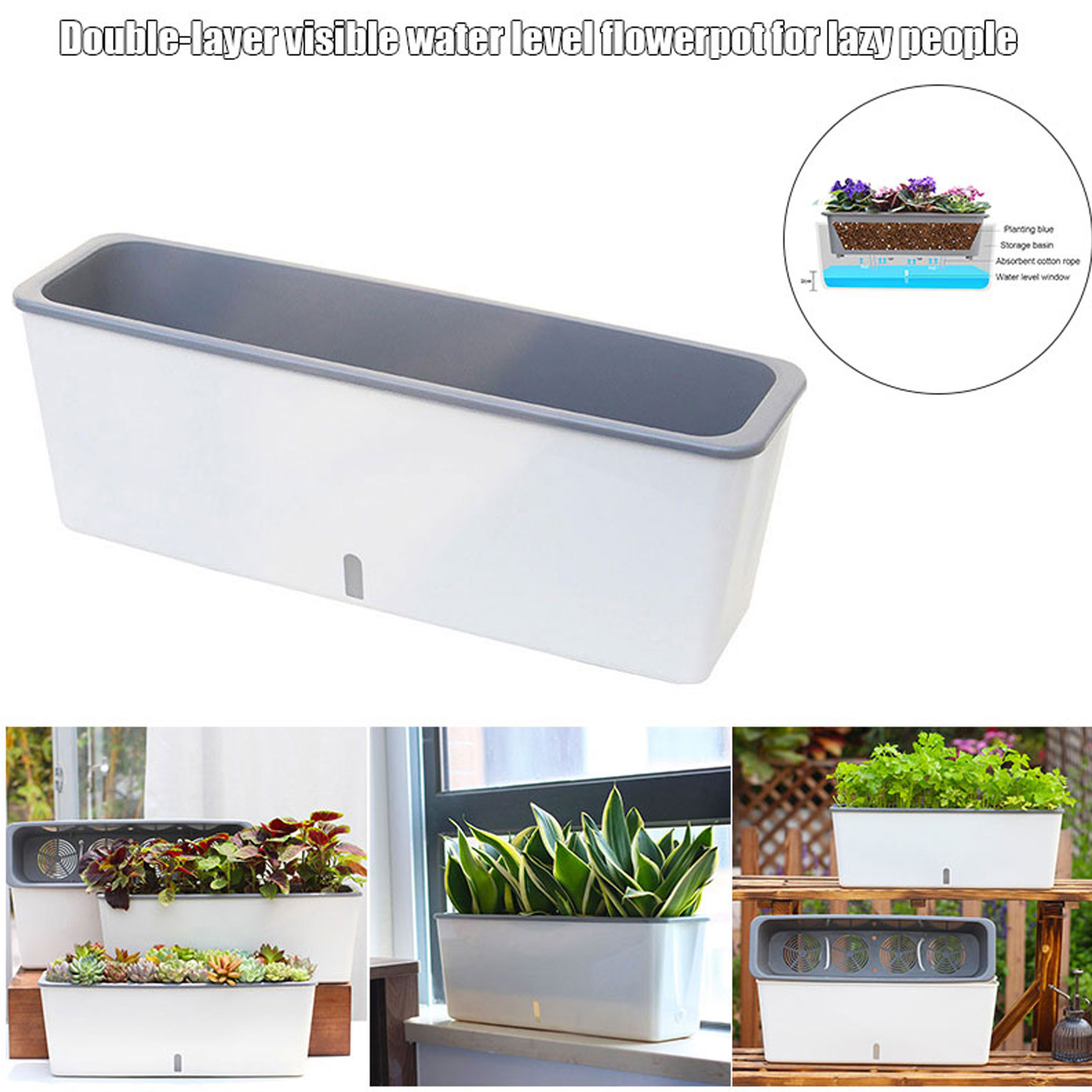Self-Watering Planter Pots wit - Aloe Vera Pot review and price