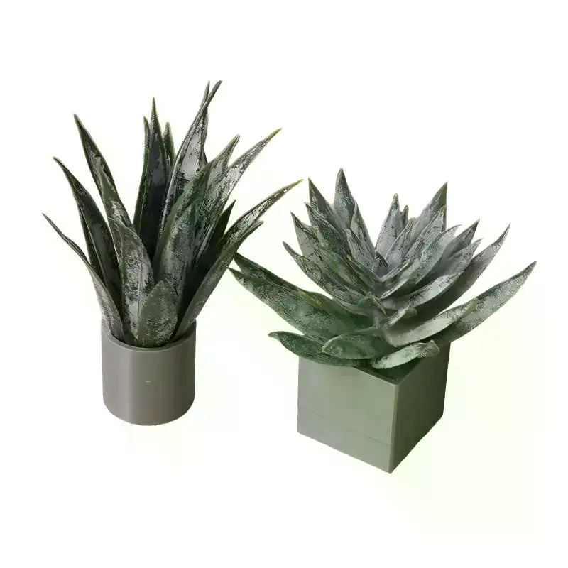 Miniature Aloe Vera Potted Pla - Aloe Vera Pot review and price