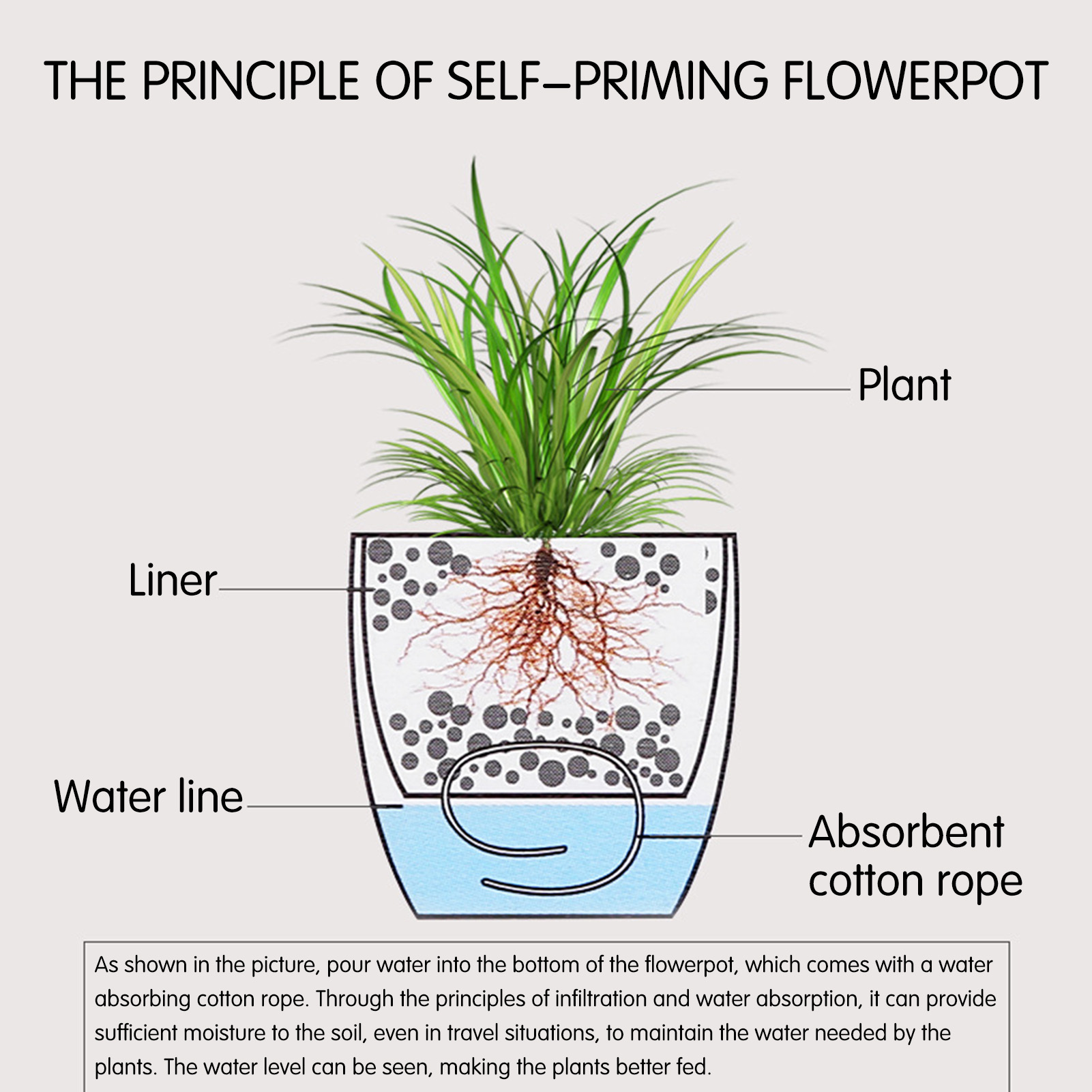 Automatic Self Watering Flower - Aloe Vera Pot review and price