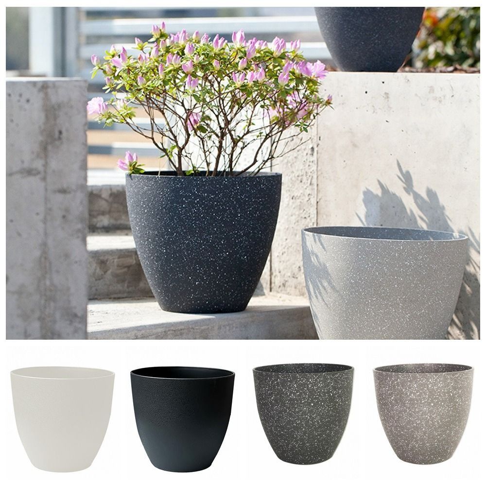 Frosted Imitation Stone Flower - Aloe Vera Pot review and price