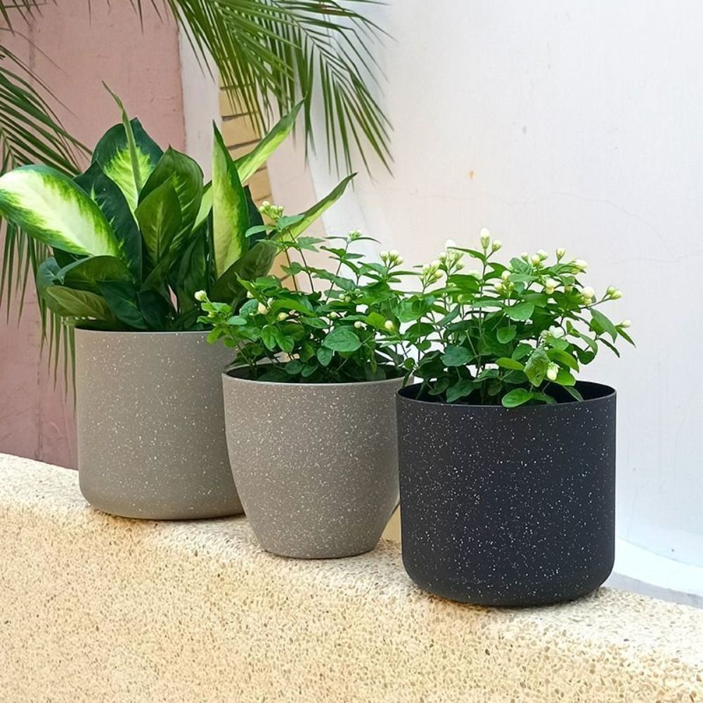 Frosted Imitation Stone Flower - Aloe Vera Pot review and price