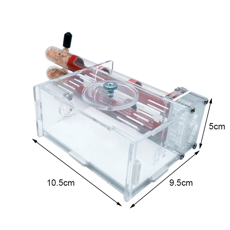 DIY Ant Farm 2 pcs 18-180mm Gy - Begonia Rex review and price
