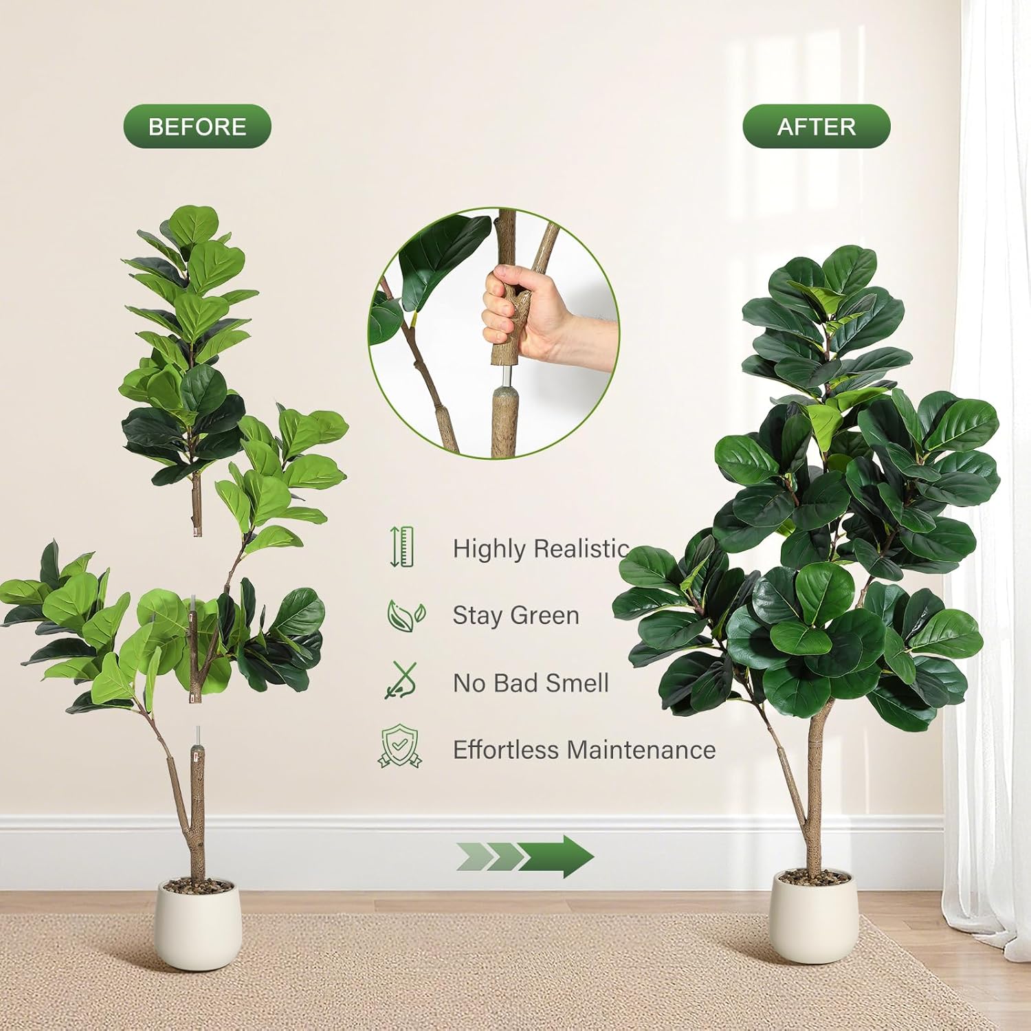 4-7 FT Fiddle Leaf Fig Tree Ar - Ficus Lyrata Tree review and price