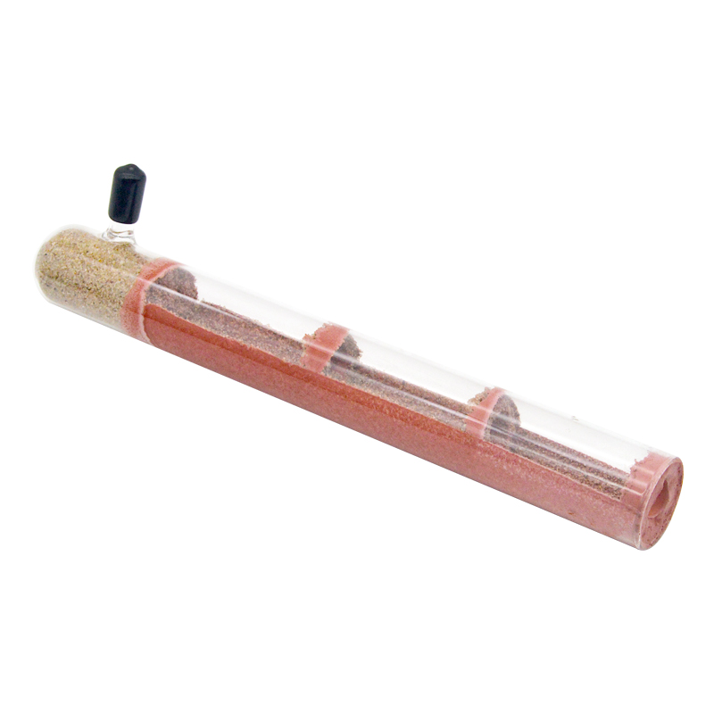 Ecological Ant Farm Bamboo Tes - Begonia Rex review and price