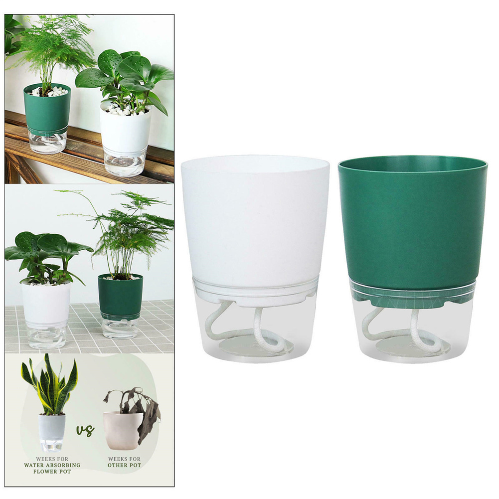 Lazy Hydroponic Flower Pot Aut - Aloe Vera Pot review and price