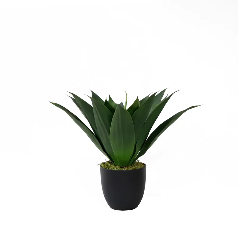 Artificial Potted Aloe Vera Pl - Aloe Vera Pot review and price