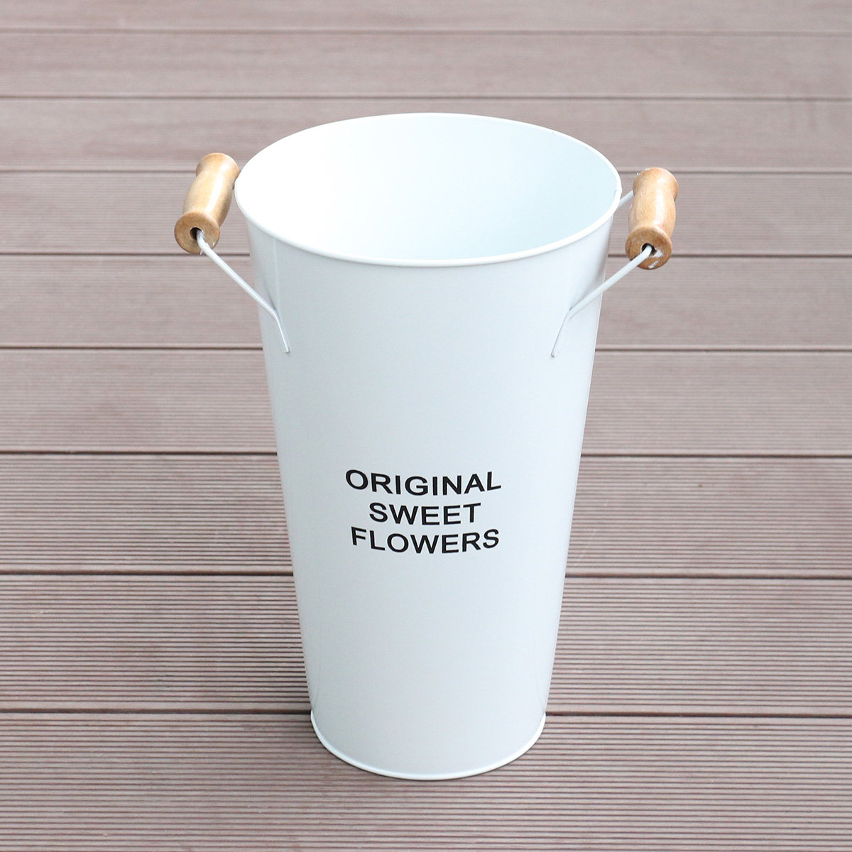 Wrought Iron Flower Vase Deskt - Aloe Vera Pot review and price
